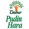 Dabur Pudin Hara